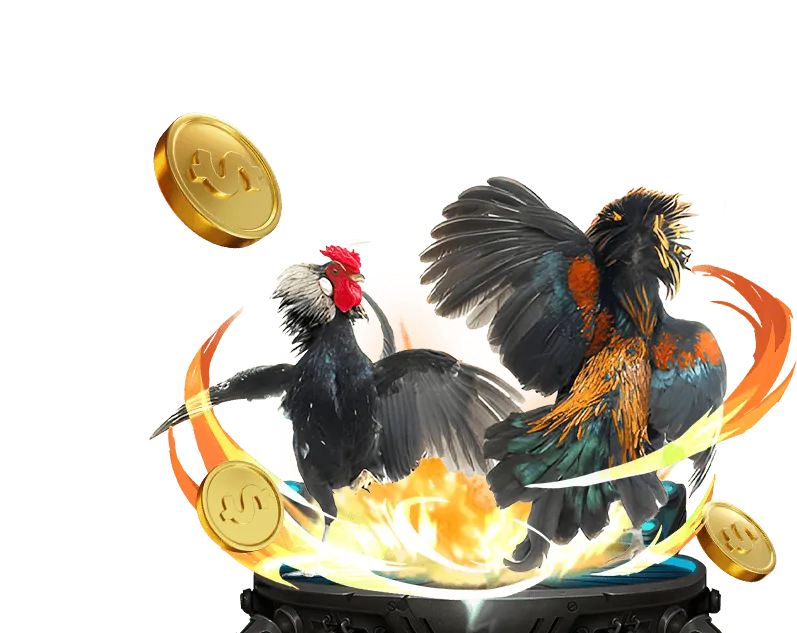 Lợi ích khi chọn bj27