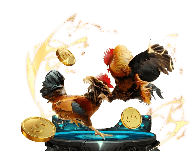 Đội ngũ chuyên nghiệp của bj27